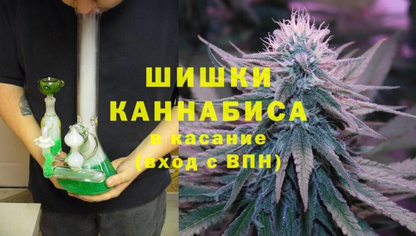 ПСИЛОЦИБИНОВЫЕ ГРИБЫ Покров