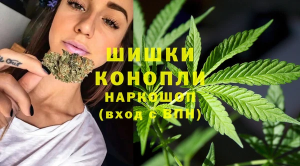 ПСИЛОЦИБИНОВЫЕ ГРИБЫ Баксан