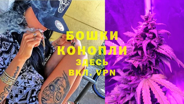 ПСИЛОЦИБИНОВЫЕ ГРИБЫ Баксан