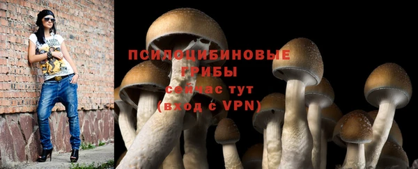 ПСИЛОЦИБИНОВЫЕ ГРИБЫ Баксан