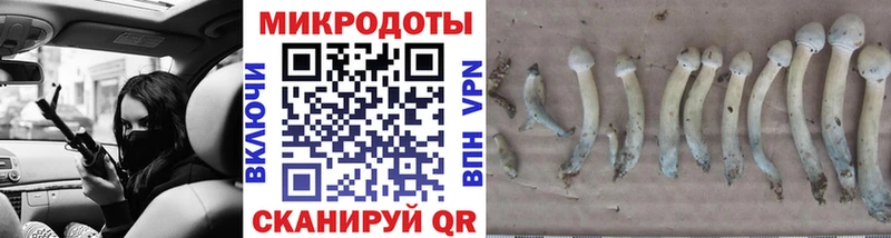 Купить где  Баксан  Галлюциногенные грибы Magic Shrooms 